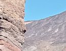 Tenerife (Canaries, Espagne) - f�vrier 2026